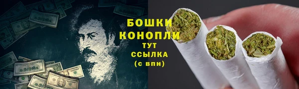 spice Вяземский