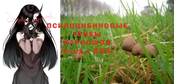 spice Домодедово