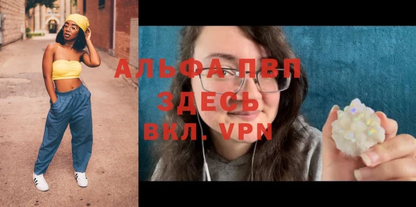 spice Вяземский
